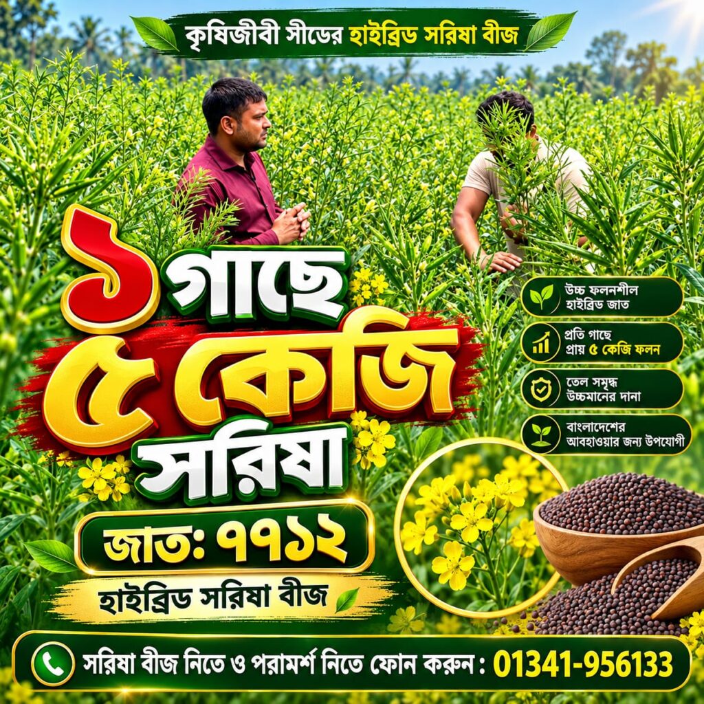100 গ্রাম সরিষা বীজ