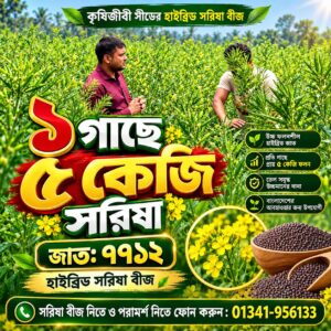 100 গ্রাম সরিষা বীজ