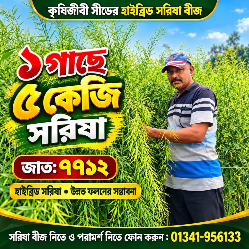 200 গ্রাম সরিষা বীজ